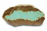 Polished Turquoise Slab - Number Mine, Carlin, NV #248334-1